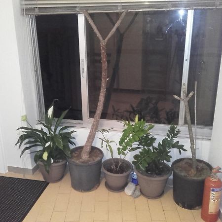 Jennys Apartment Превеза Экстерьер фото