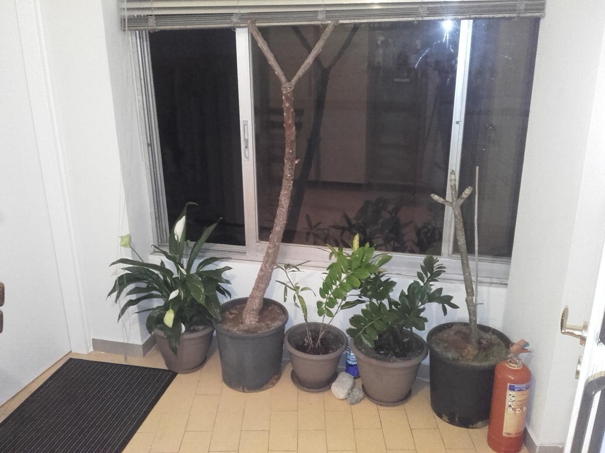 Jennys Apartment Превеза Экстерьер фото